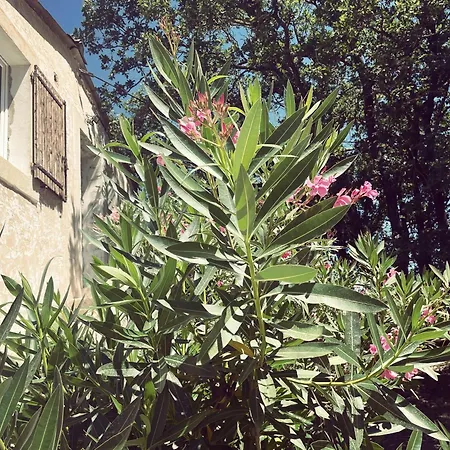 Appartement A La Campagne LʼIsle-sur-la-Sorgue Extérieur photo