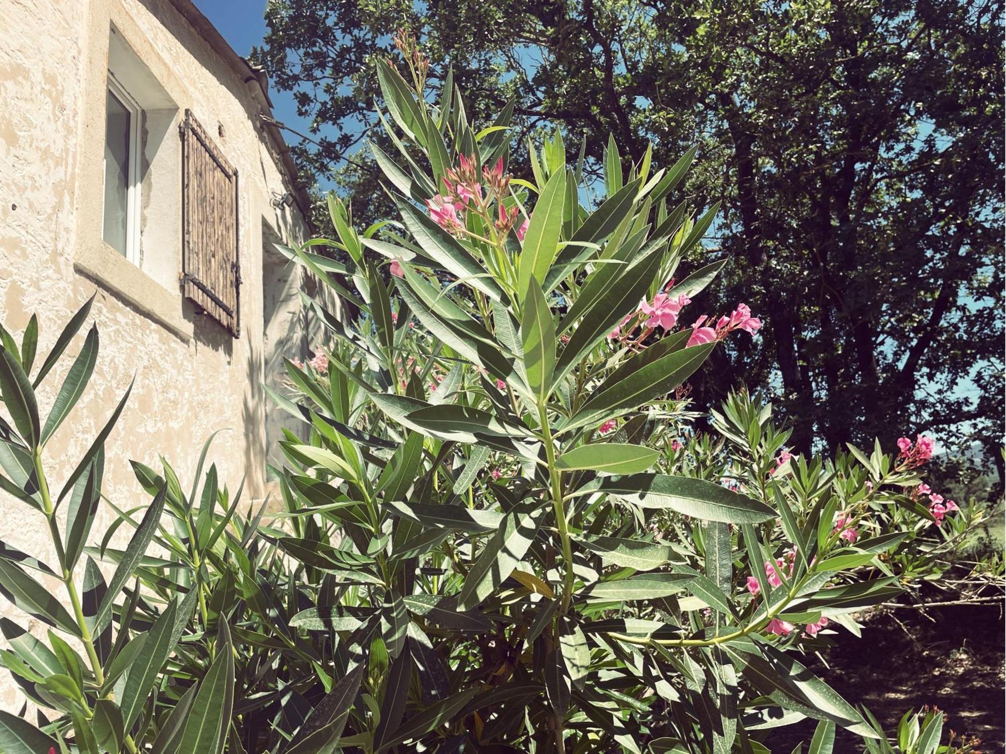 A La Campagne Appartement